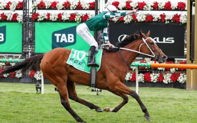 Golden Slipper 2026: The Race to Experience