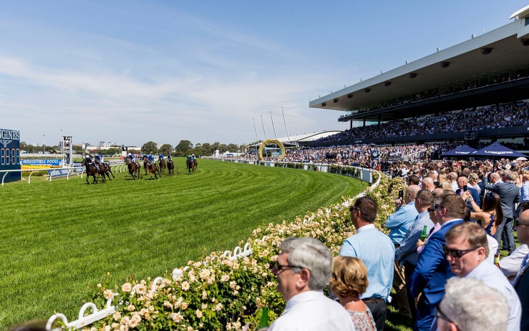 99 – GOLDEN SLIPPER CORPORATE HOSPITALITY | Rosehill Gardens, SYDNEY