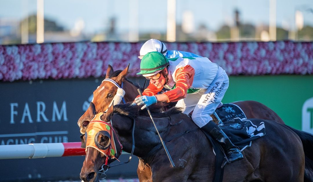 99 – MELBOURNE CUP DAY – CORPORATE HOSPITALITY | Eagle Farm Racecourse, BRISBANE